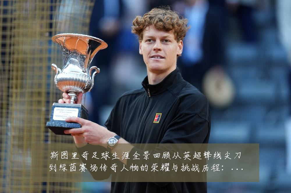斯图里奇足球生涯全景回顾从英超锋线尖刀到绿茵赛场传奇人物的荣耀与挑战历程：最新赛事动态与深度分析